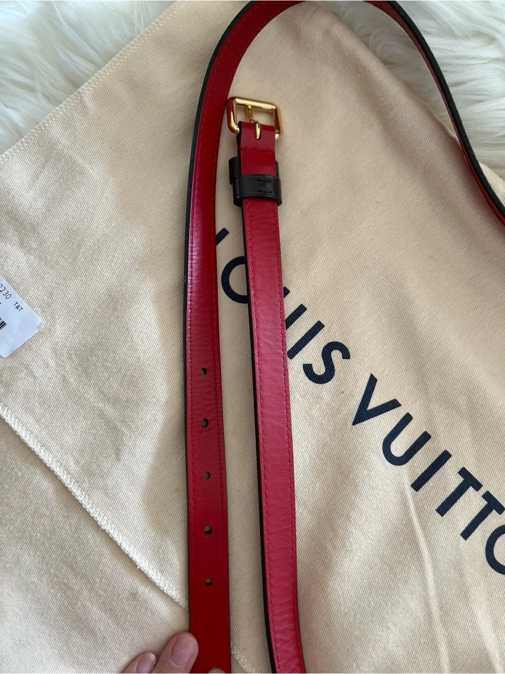 Louis Vuitton South Bank Besace